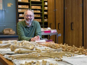 University of Calgary archaeology professor Brian Kooyman co-authored a paper that shows nomadic tribes pre-date Clovis culture, long thought to be earliest identifiable people in North America.