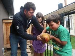 Paul Housley hands over 'Wings' to his son Jack, as his daughter, Riley, 7, looks on in his backyard chicken coop in Calgary on August 24, 2014.