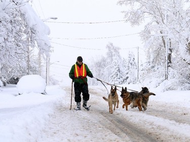 A man takes his dogs out for a walk but they had to stay in the middle of the road in order to make any progress after what looked like 40 cm of snow fell in Nanton over night with more snow coming down on Sunday morning on April 5, 2015.