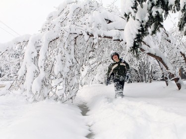 Dason Clemons, 9, makes a path under a tree through the snow after what looked like 40 cm of snow fell in Nanton over night with more coming down on Sunday morning on April 5, 2015.