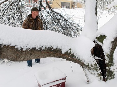 Matthew Newall stands beside a large tree that spilt all the way down the trunk in Nanton after as much as 40 cm of snow came down over night with more snow coming down on Sunday morning on April 5, 2015.