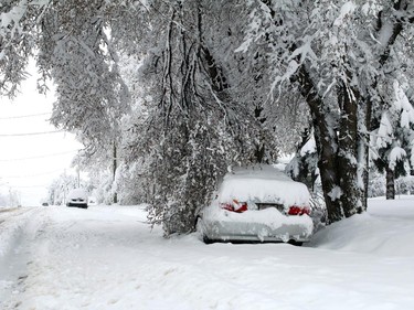 Tree branches are broken all over after as much as 40 cm of snow has fallen in Nanton over night with more snow coming down on Sunday morning on April 5, 2015.