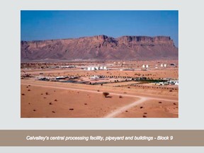 This screen grab from Calvalley's website shows its Yemen processing facility.