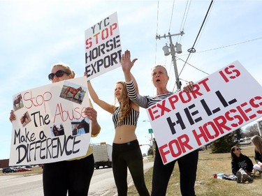 Sophia and Sue-Ellen Senkpiel and Kim Marie raise awareness at the Aero Space Museum of Calgary of the cruelty of live horse export to Japan for human consumption in Calgary, on April 16, 2015.
