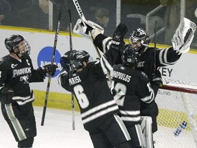 Providence goalie Jon Gillies, a Calgary Flames prospect, is congratulated, by teammates, from the left, Noel Acciari, Tom Parisi and Stefan Demopoulos after beating Denver in the NCAA East Regional hockey tournament last Sunday.