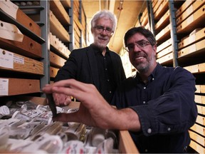 University of Calgary professor Benoit Beauchamp, left, and Geological Survey of Canada research scientist Stephen Grasby were photographed with some of the rock samples they studied. They were involved in a study which demonstrated that the extinction actually occurred in three stages rather than one as previously believed.