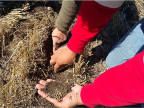 The Blood Tribe is training a new generation of farmers to raise crops on its southern Alberta lands.