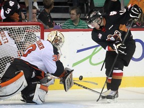 Chase Lang of the Calgary Hitmen can't get a handle on the puck in front of Medicine Hat Tigers goalie Marek Langhamer during a game earlier this season. The Tigers tender was spectacular against the Red Deer Rebels in the opening round of the WHL playoffs.