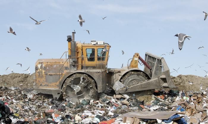 Corner Brook looks at recycling more clearly, with see-through garbage bags