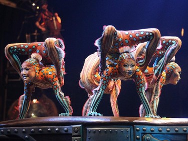 Cirque du Soleil contortion performers presented Kurios Cabinet of Curiosities during their dress rehearsal night at the Calgary Stampede grounds on April 8, 2015.