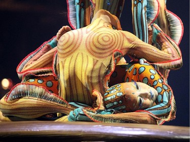 Cirque du Soleil contortion performers presented Kurios Cabinet of Curiosities during their dress rehearsal night at the Calgary Stampede grounds on April 8, 2015.