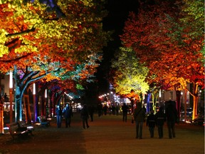 Having been replanted in the 1950s, the linden trees once again make Unter den Linden the Germanic answer to Paris’s Champs-Elysees.