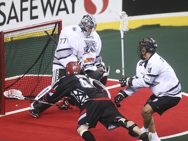 Edmonton Rush goalie Aaron Bold, centre, bends down to catch a shot on net by Roughnecks forward Dane Dobbie at the Scotiabank Saddledome in Calgary on Saturday, May 23, 2015. The Calgary Roughnecks led the Edmonton Rush, 9-7, in the first half of game two of the National Lacrosse League west division final.