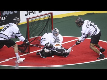Edmonton Rush players reach in to scoop up a deflected shot on Rush goalie Aaron Bold at the Scotiabank Saddledome in Calgary on Saturday, May 23, 2015. The Calgary Roughnecks won over the Edmonton Rush, 12-9, in game two of the National Lacrosse League west division final.