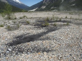 A load of roofing tar has been dumped in Yoho National Park between Field and the Yoho Valley Road 100 m north of the Trans-Canada Highway.