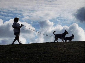 Reader says if people would just keep their dogs on leashes, there'd be far fewer problems with bites and attacks.