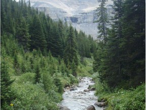 HIdden Creek in Banff National Park.