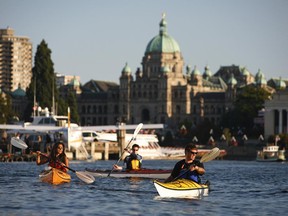 Kayaking on the inner-harbour in Victoria.