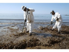 Crews from Patriot Environmental Services collect oil-covered seaweed and sand from the shoreline at Refugio State Beach, north of Goleta, Calif., Wednesday, May 20, 2015.  A broken onshore pipeline spewed oil down a storm drain and into the ocean for several hours Tuesday before it was shut off.