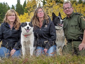 Crowsnest Pass BearSmart field supervisor and co-ordinator Christy Pool, centre, with volunteer Mandee Brown and Fish and Wildlife District Officer John Clarke with Clarke's Karelian Bear Dog team.