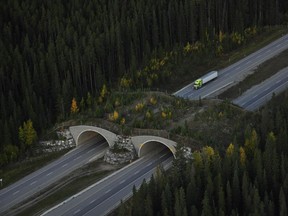 The Wolverine wildlife overpass in Banff National Park.