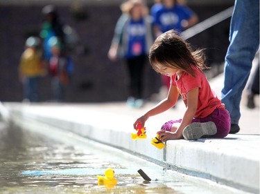 Calgary International Childrens Festival visitor five-year-old Alyssa Osachuk played with rubber ducks which had been released into the fountain during the opening day of the event on May 20, 2015.