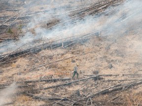 A prescribed burn was set Thursday in the Dormer river valley in Banff National Park. About 100 hectares was burned before the weather turned.