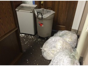 A couple bags of shredded papers lie inside the common area of the minister of energy and minister of infrastructure offices.