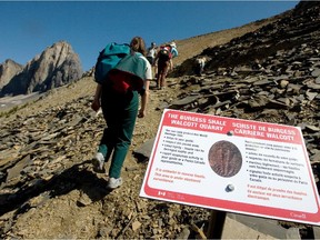 The sign marking the site of the Burgess Shale's Walcott Quarry in Yoho National Park near Field, B.C. in July 2009.