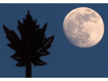 "Maple Moon" - A maple leaf topped light standard along 16th avenue N.E. is framed against the waxing moon on Saturday May 2, 2015.