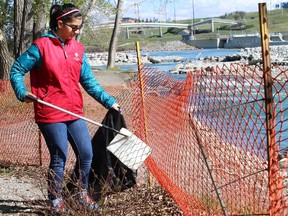 CALGARY, ; APRIL 24, 2015  -- Shambavi Dhall, 13, was one of over 2,000 volunteers helping to cleanup the riverbanks on Sunday, May 3.  Volunteers had nice weather as they picked up thousands of kilograms of garbage along nearly 200 kilometres of the cityÕs pathways and river banks. (Lorraine Hjalte/Calgary Herald)