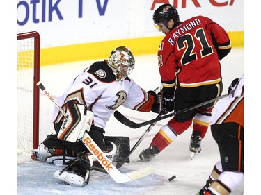 Calgary Flames left winger Mason Raymond peered back over his shoulder while searching for the puck in the crease of Anaheim Ducks Frederik Anderesen during second period NHL playoff action at the Scotiabank Saddledome on May 8, 2015.