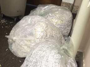 Bags of shredded papers lie inside the common area of the Minister of Energy and Minister of Infrastructure offices.