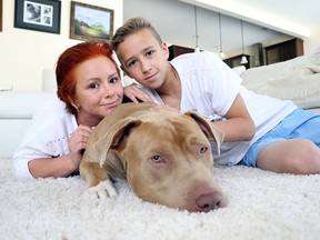 Natalie Bergman and her 14-year-old son Michael have fallen in love with Luke, their dog they are adopting from a California kill shelter.