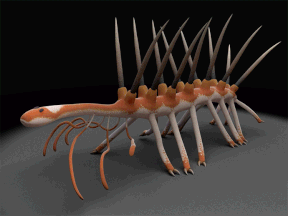 A reconstruction of Hallucigenia's walking gait, based on the reconstruction of a fossil found in the Burgess Shale. Created by Lars Fields.