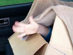 An RCMP officer was shocked to pull over a speeding vehicle and find a boy hiding in a cardboard box in the backseat in Airdrie on June 23, 2015.