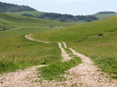 A road winds westward into the Porcupine Hills on the Bar-N Ghost Pine Ranch in Southern Alberta, The 15,000 acre pristine ranch is listed for sale for $42.5 million US.