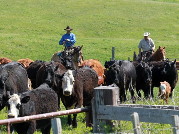 Southern Alberta ranch listed for record $42.5 million US | Calgary Herald