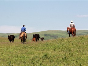 Southern Alberta ranch listed for record $42.5 million US | Calgary Herald