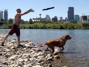 Paul Vandermark winds up to toss a stick into the Bow River for his yellow lab Lobo at the confluence of the Elbow River Monday afternoon as temperatures climb.