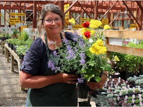 Katrina Diebel, owner of Vale's Greenhouse, offers tips on her favourite full sun perennials to help fill in the missing gaps in your garden. (Lorraine Hjalte/Ca