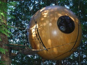Free Spirit Spheres lets you stay in an orb suspended in a forest.