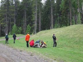 Conservation officers from Alberta Parks and Parks Canada participate in a joint wildlife attack response training session at the Canmore Nordic Centre in Canmore on June 2, 2015.