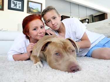 Natalie Bergman and her 14 year old son Michael have fallen in love with Luke, their dog they are adopting and rescued from a California kill shelter, on June 22, 2015.