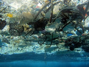 A new study estimates nearly 270,000 tons of plastic is floating in the world's oceans. That's enough to fill more than 38,500 garbage trucks if each truck carries 7 tons of plastic. This 2008 photo provided by NOAA Pacific Islands Fisheries Science Center shows debris in Hanauma Bay, Hawaii.