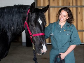 Erin Denny, a student with the U of C faculty of veterinary medicine, walks Coco into the horse pens at the Spyhill Campus in Calgary on Monday