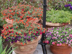 Sandra and Jim Braden's Dalhousie backyard