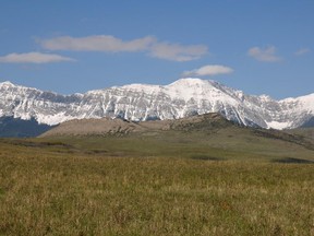 Landowners in the Livingstone Range are concerned a proposed transmission line would run right through areas such as this one.