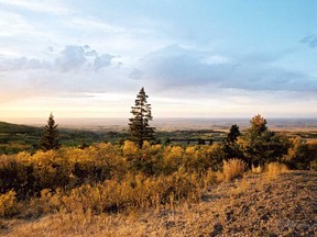 Lookout Point in the Cypress Hills offers a great view to the prairie below.