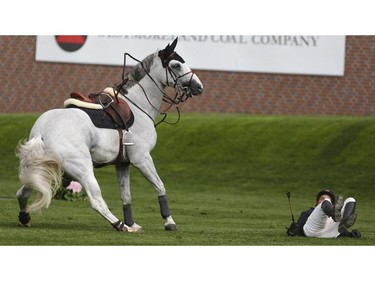 Nick Dello Joio is thrown from Caballero 80, ending his fight for the $85,000 ATB Financial Cup at Spruce Meadows in Calgary on Thursday, June 4, 2015.